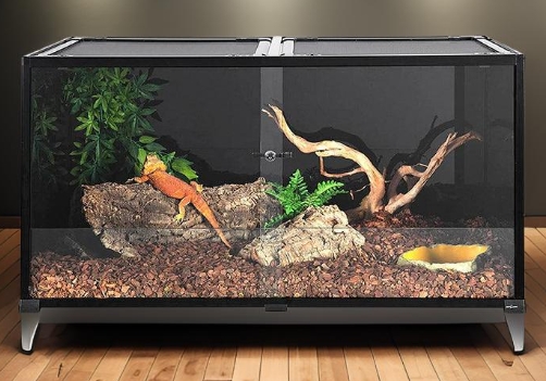 recinto para reptiles 4x2x2