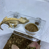 Cuenco magnético para agua y comida de reptiles