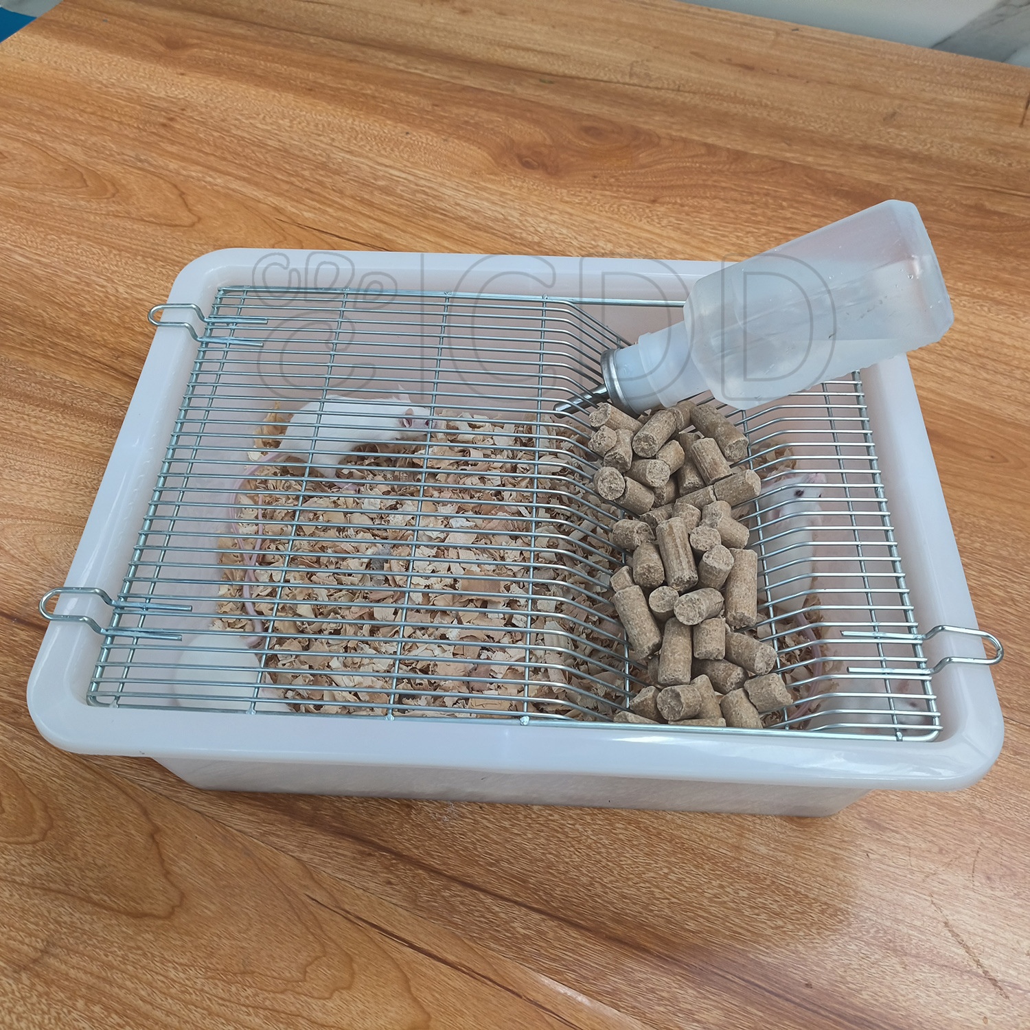 Jaula de plástico para cría de roedores, ratones, animales de laboratorio