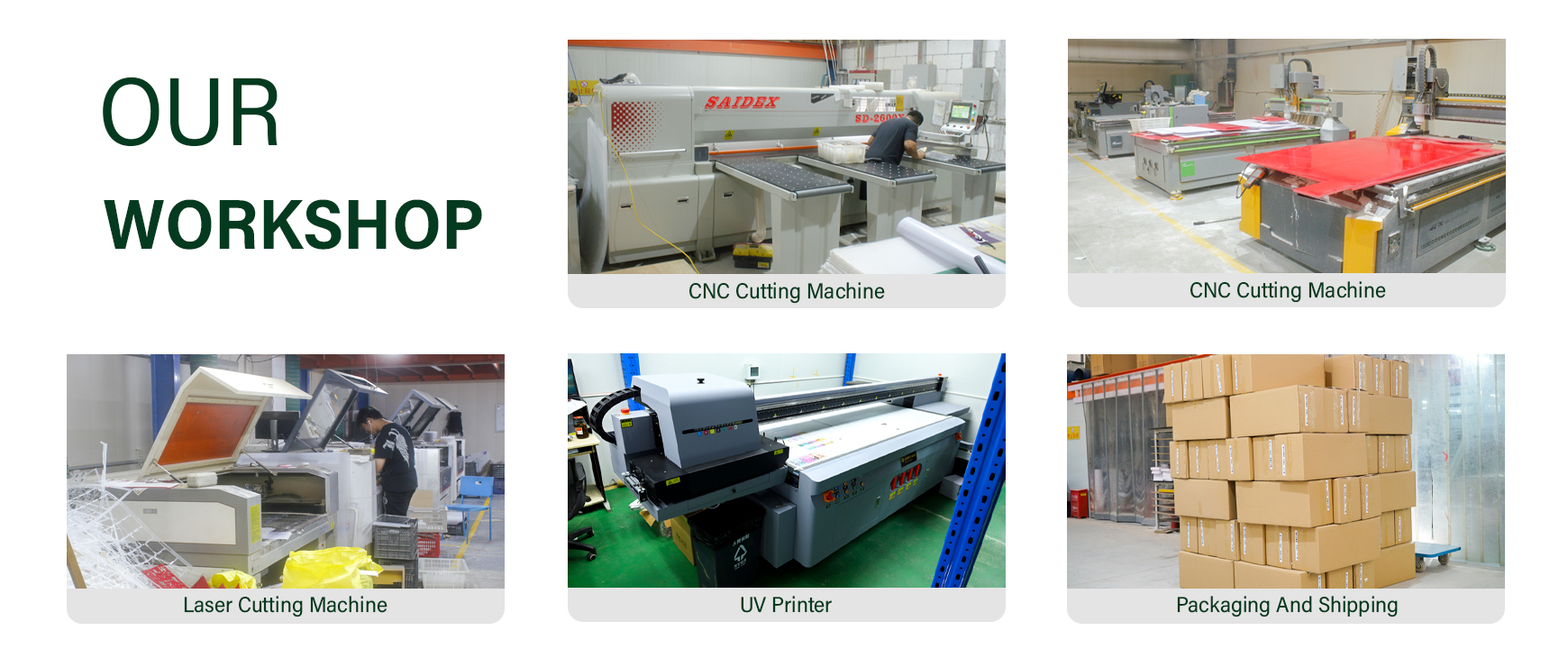 Taller de fabricación de recintos para reptiles