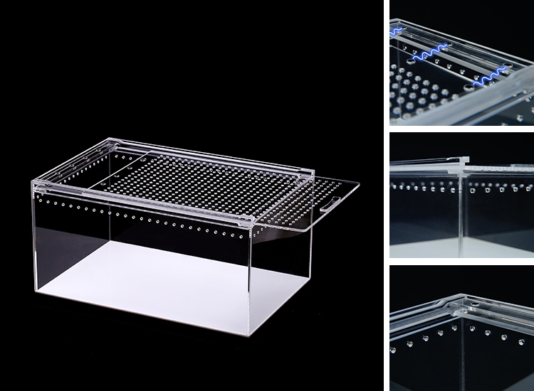 Caja de alimentación de reptiles acrílica integrada.