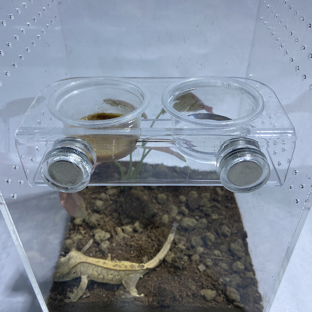 Cuenco magnético para agua y comida de reptiles