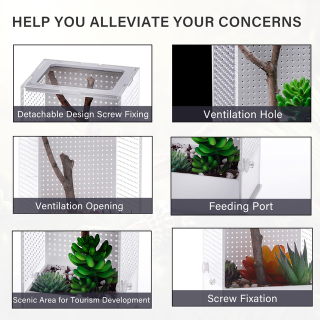 Caja de cría de Mantis religiosa clásica, Simple, transparente, personalizable, transpirable para jaula de Reptiles, terrario acrílico para mascotas