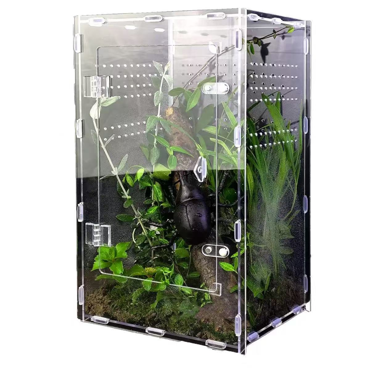 Recinto de acrílico transparente para reptiles con apilable para geckos y lagartos