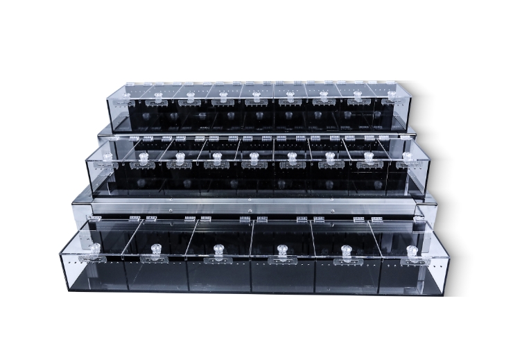 Vitrinas de reptiles