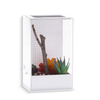 Caja de cría de Mantis religiosa clásica, Simple, transparente, personalizable, transpirable para jaula de Reptiles, terrario acrílico para mascotas
