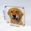 Retrato de mascota acrílico personalizado