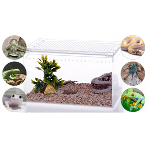 Recinto acrílico integrado para reptiles con tapa deslizante integrada: ideal para geckos y reptiles pequeños