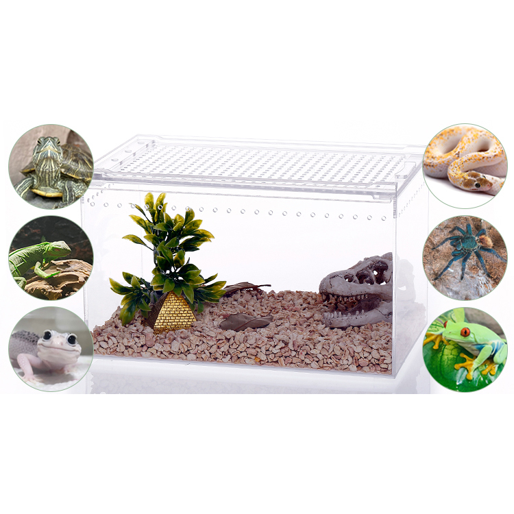 Recinto acrílico integrado para reptiles con tapa deslizante integrada: ideal para geckos y reptiles pequeños