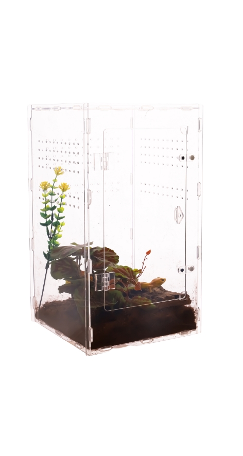 Caja de acrílico transparente