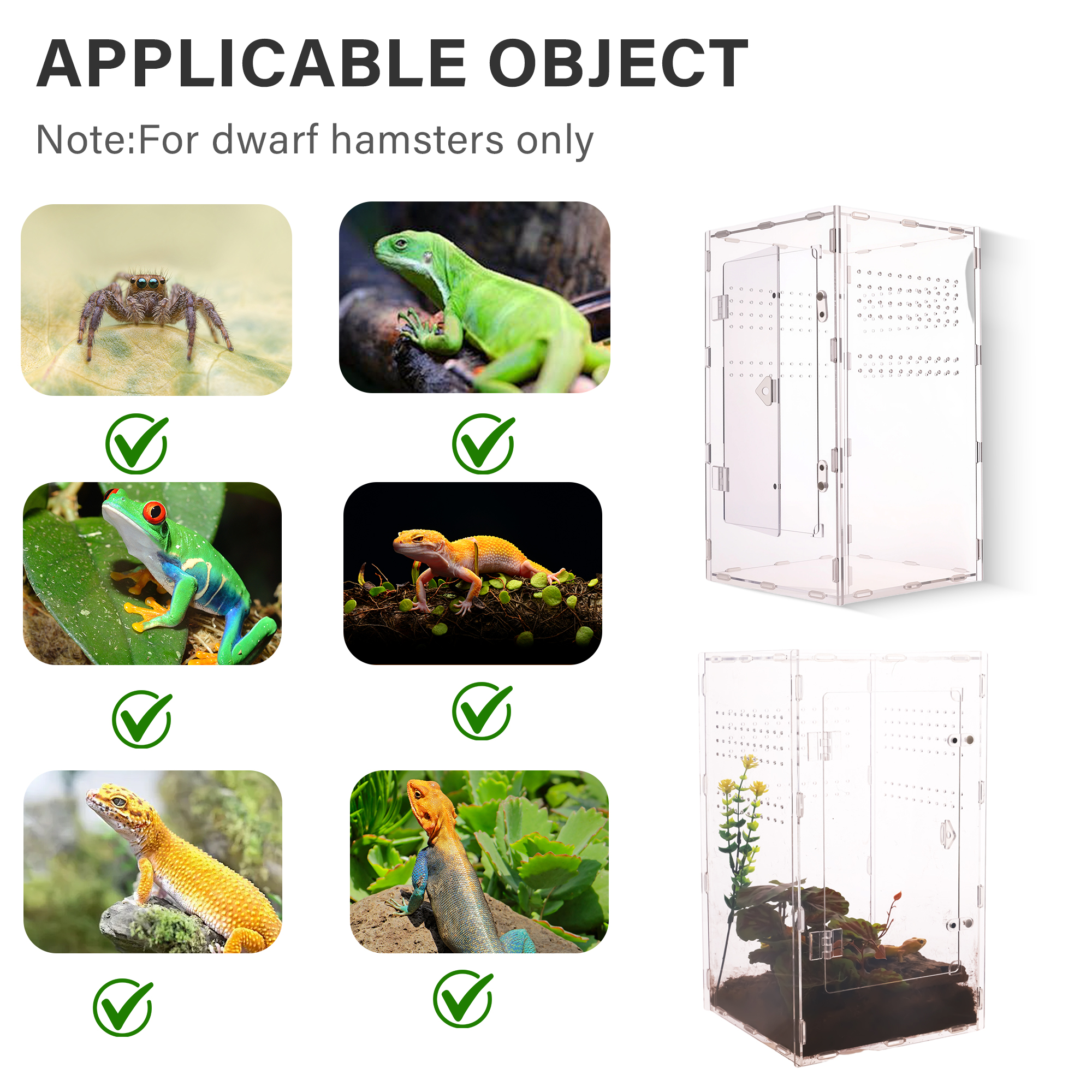 Recinto de acrílico transparente para reptiles con apilable para geckos y lagartos