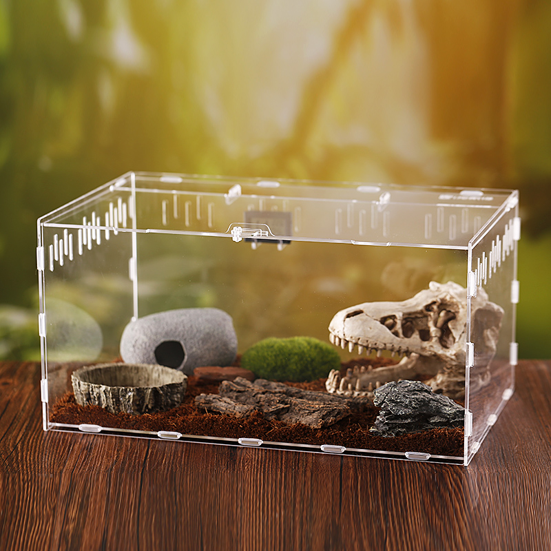 Caja de alimentación de reptiles acrílica desmontable de alta transparencia