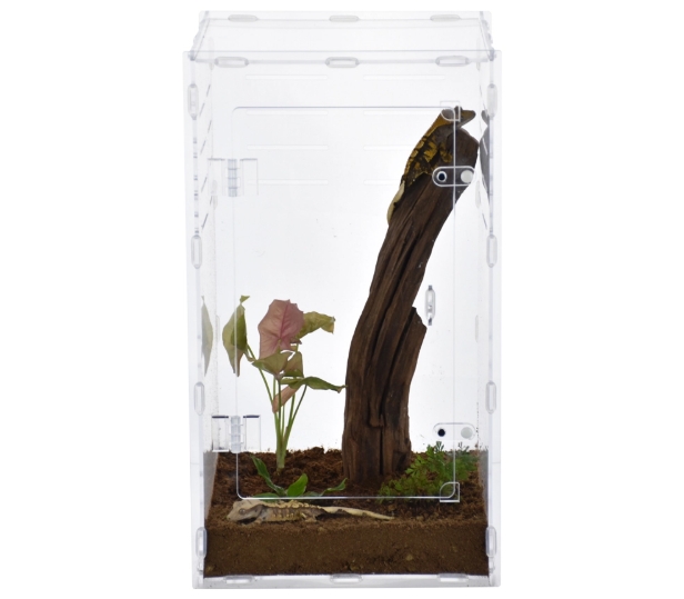 Recinto acr&iacute;lico para cr&iacute;a de reptiles.